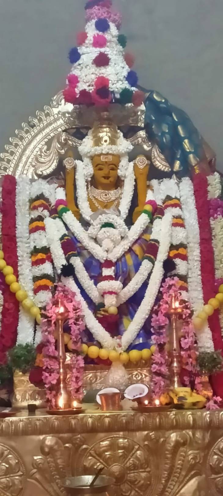 அருள்மிகு வீரசக்கதேவி அம்மனுக்கு சிறப்பு அபிஷேக,அலங்காரம்