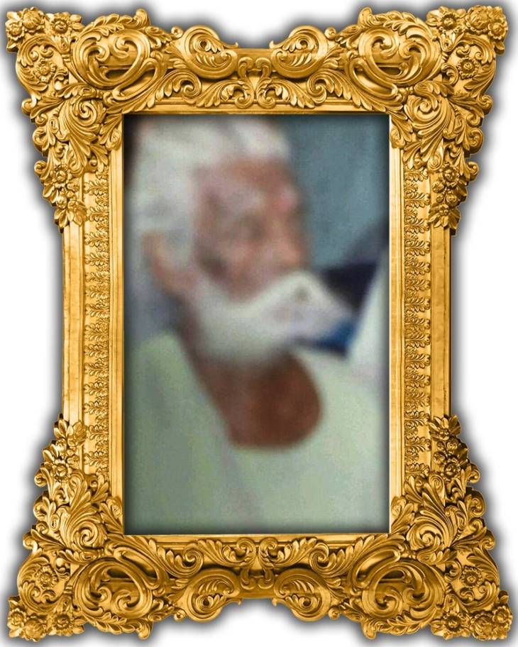 சமுதாய தியாகிகள் - கல்லூரணி - திரு. ஶ்ரீ. இராஜகோபால்சாமி