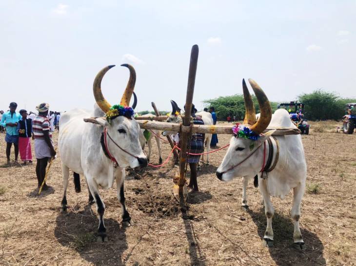 கோலகலமாக நடைபெற்ற நாயக்கர்களின் நாளேர் பொன்னுழவு: சித்திரைக்கொண்டாட்டம்!