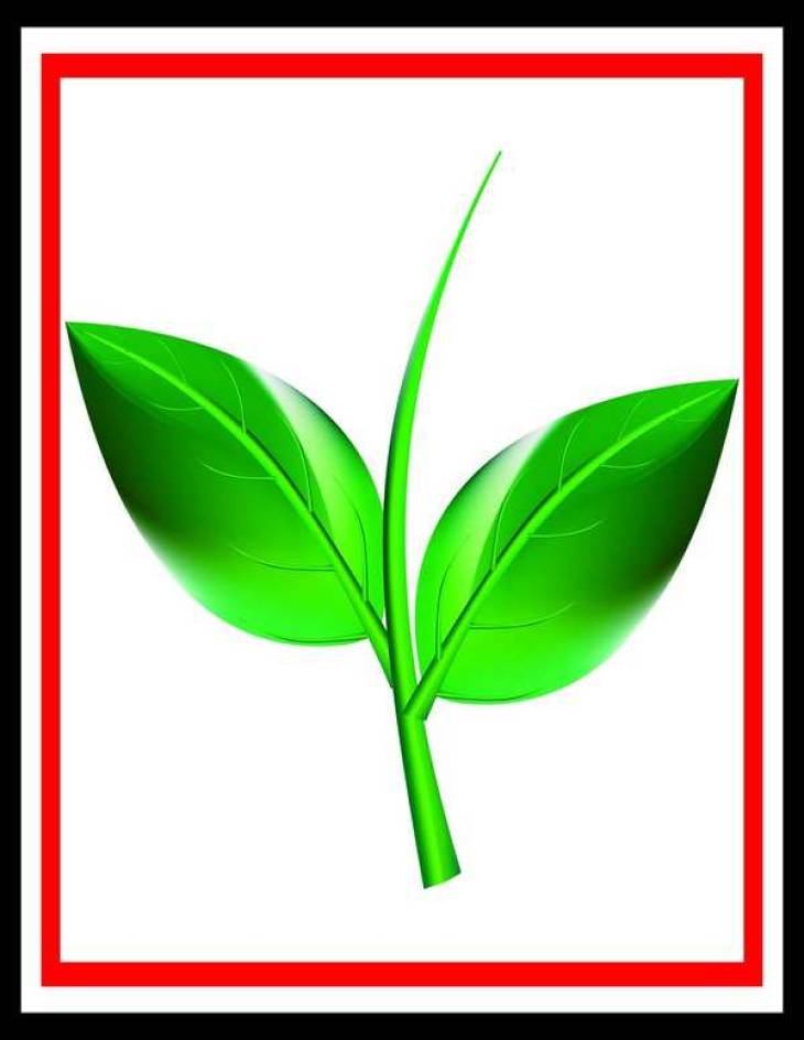 பெருஞ்சாதிகள் மட்டுமல்ல அதிமுக! சாதி சிறுபான்மையினரே கட்சிக்கு ஆதாரம்!