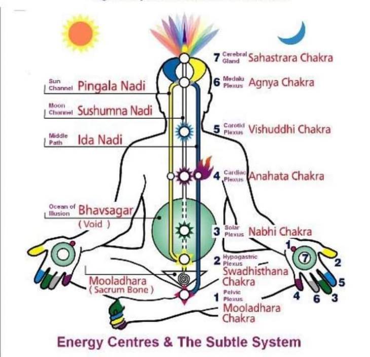 பேராசிரியர் கெ.நாகராஜன் எழுதும் விஞ்ஞானமும் மெய்ஞானமும் - தொடர் 26
