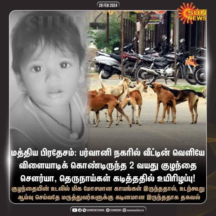 அதிகரிக்கும் தெருநாய்க்கடிக்குப் பலியாகும் குழந்தைகள் எண்ணிக்கை -  குழந்தைகள் அதிகம் பாதிப்பது ஏன்?