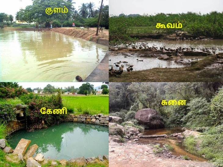 நீர்நிலை ஆக்கிரமிப்புகளுக்கு வழங்கப்பட்ட பட்டா ரத்து - உயர்நீதிமன்றம் அதிரடி
