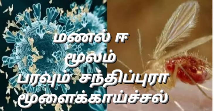 எச்சரிக்கை! - குழந்தைகளை காவு வாங்கும் சந்திப்புரா வைரஸ் மூளைக்காய்ச்சல்.