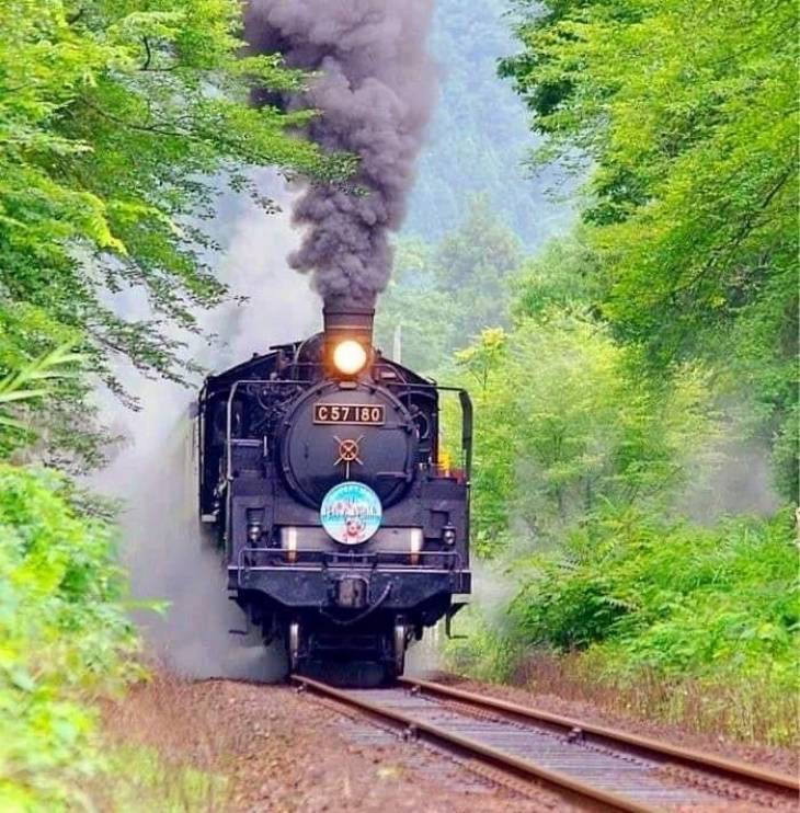 டீசல் ரயில் எஞ்சின் அணைக்கப்படுவதில்லை ஏன் தெரியுமா?