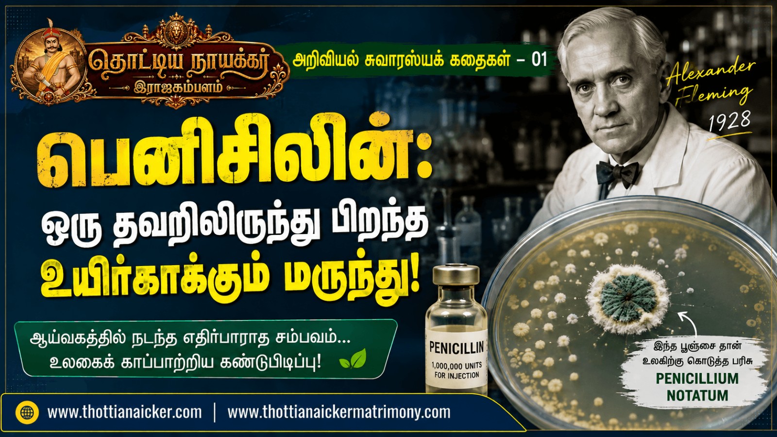 பெனிசிலின்: ஒரு தவறிலிருந்து பிறந்த உயிர்காக்கும் மருந்து!